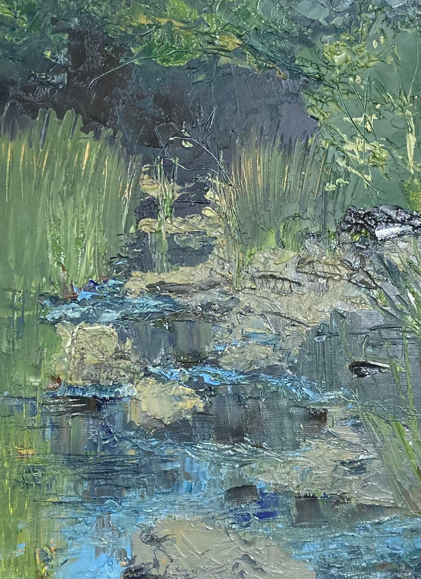 Rocks and Grasses