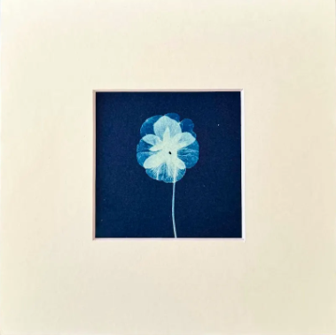 4"x4"and 5"x5" prints in 8"x8" mat