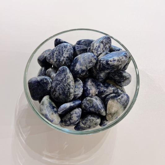 Sodalite Tumbled Stone | Polished | 1-2"