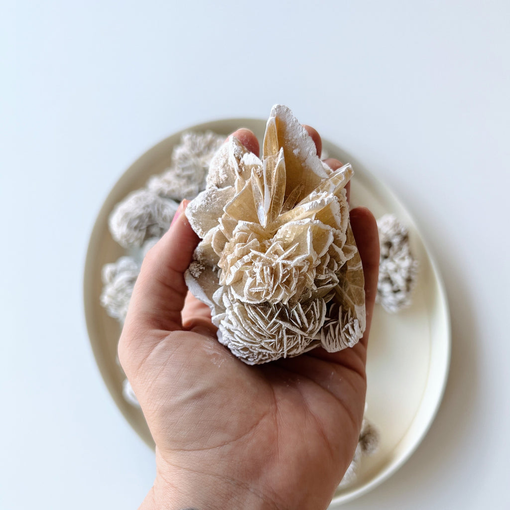 Desert Rose Selenite