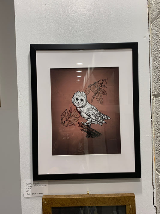 Walnut Owl - framed print