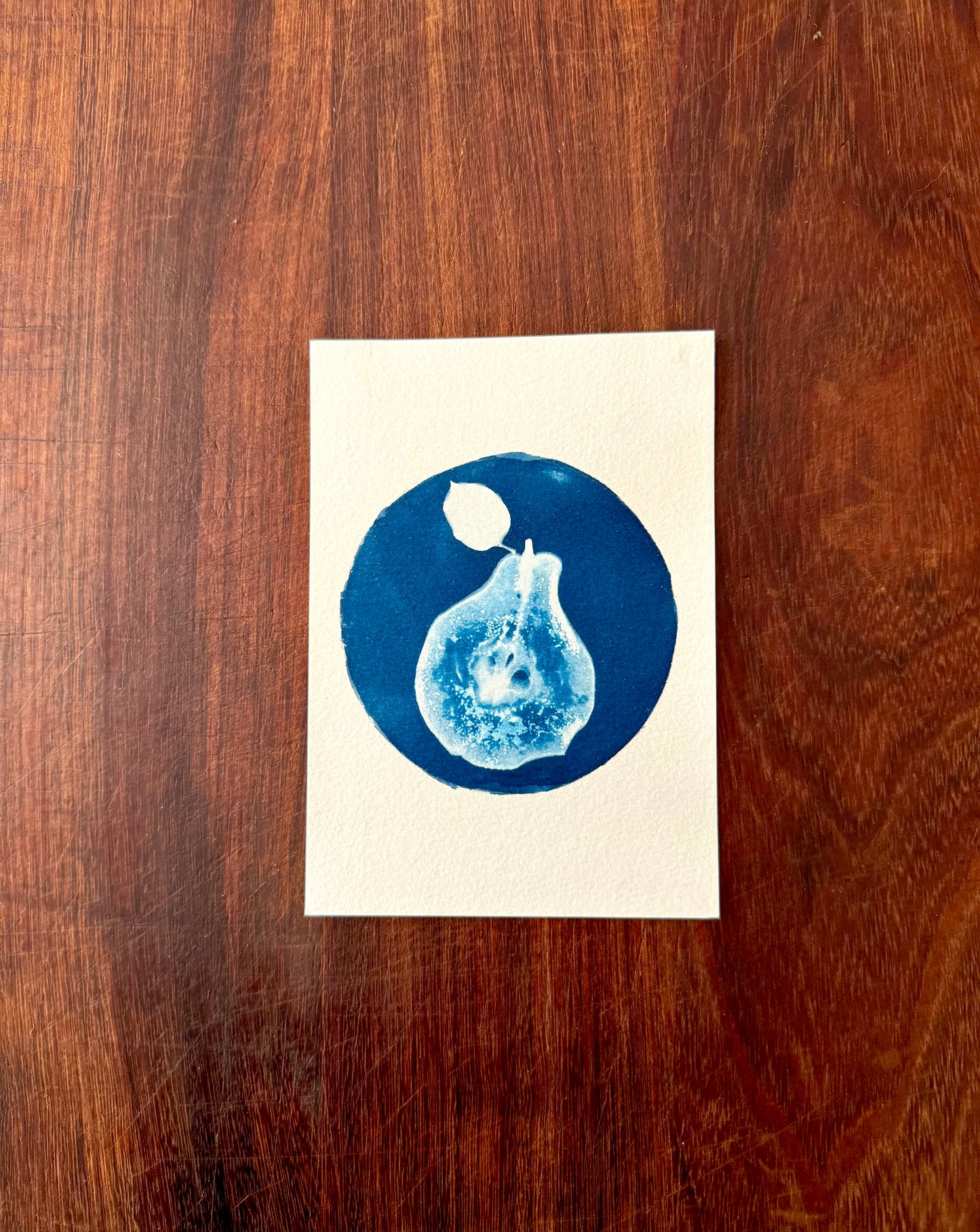5 x 7 Cyanotype Prints