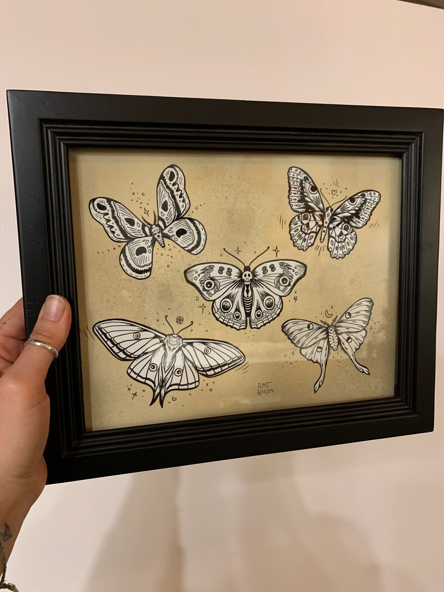 Moths - Framed Print