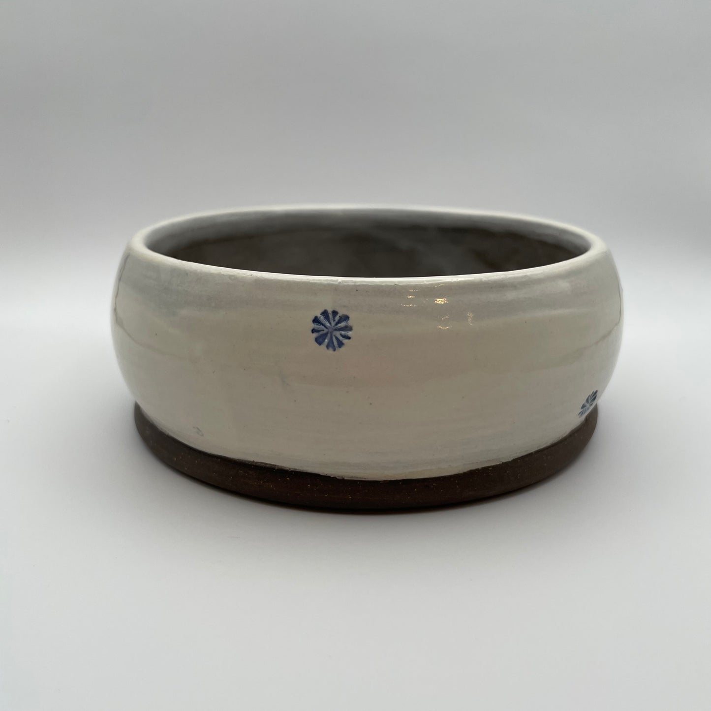 Small Pet Bowl