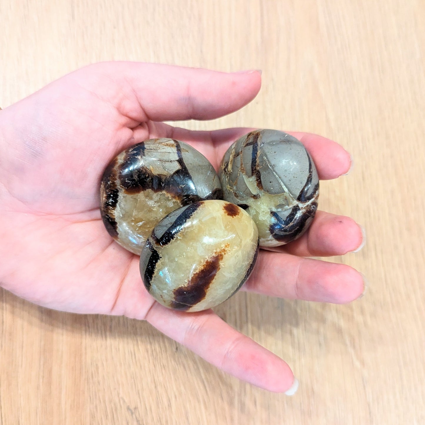 Septarian Polished 2-3"