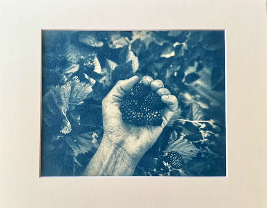 8"x10" prints in 11"x14" mat