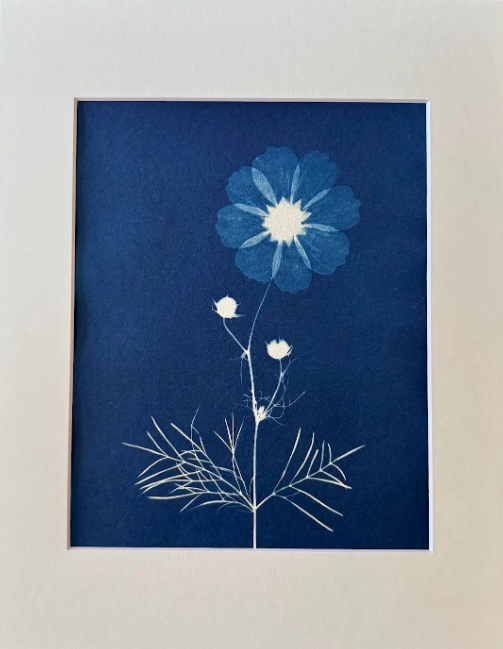 8"x10" prints in 11"x14" mat