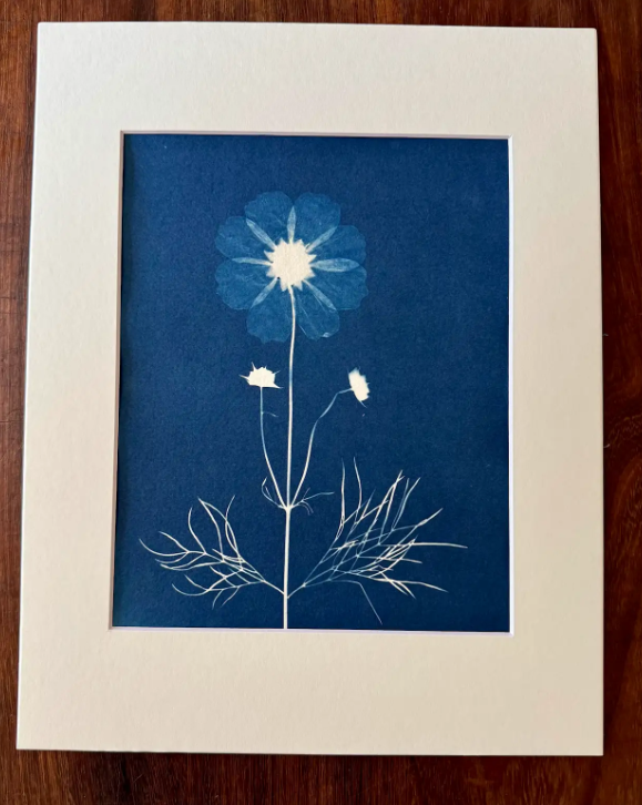 8"x10" prints in 11"x14" mat