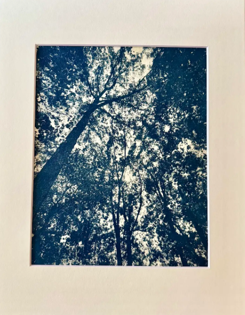 8"x10" prints in 11"x14" mat