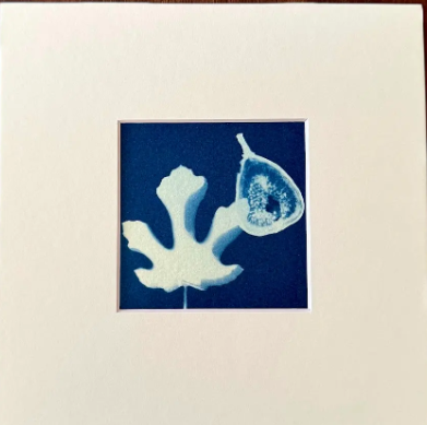 4"x4"and 5"x5" prints in 8"x8" mat