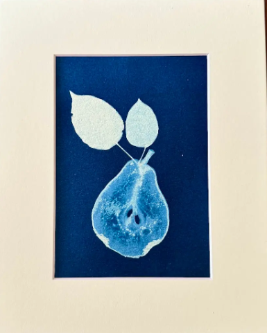 5 x 7 Cyanotype Prints in 8x10 Mat