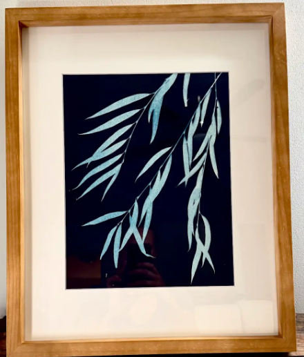 11"x14" prints matted in 16"x20" frame