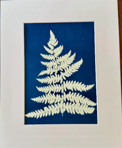 5 x 7 Cyanotype Prints in 8x10 Mat