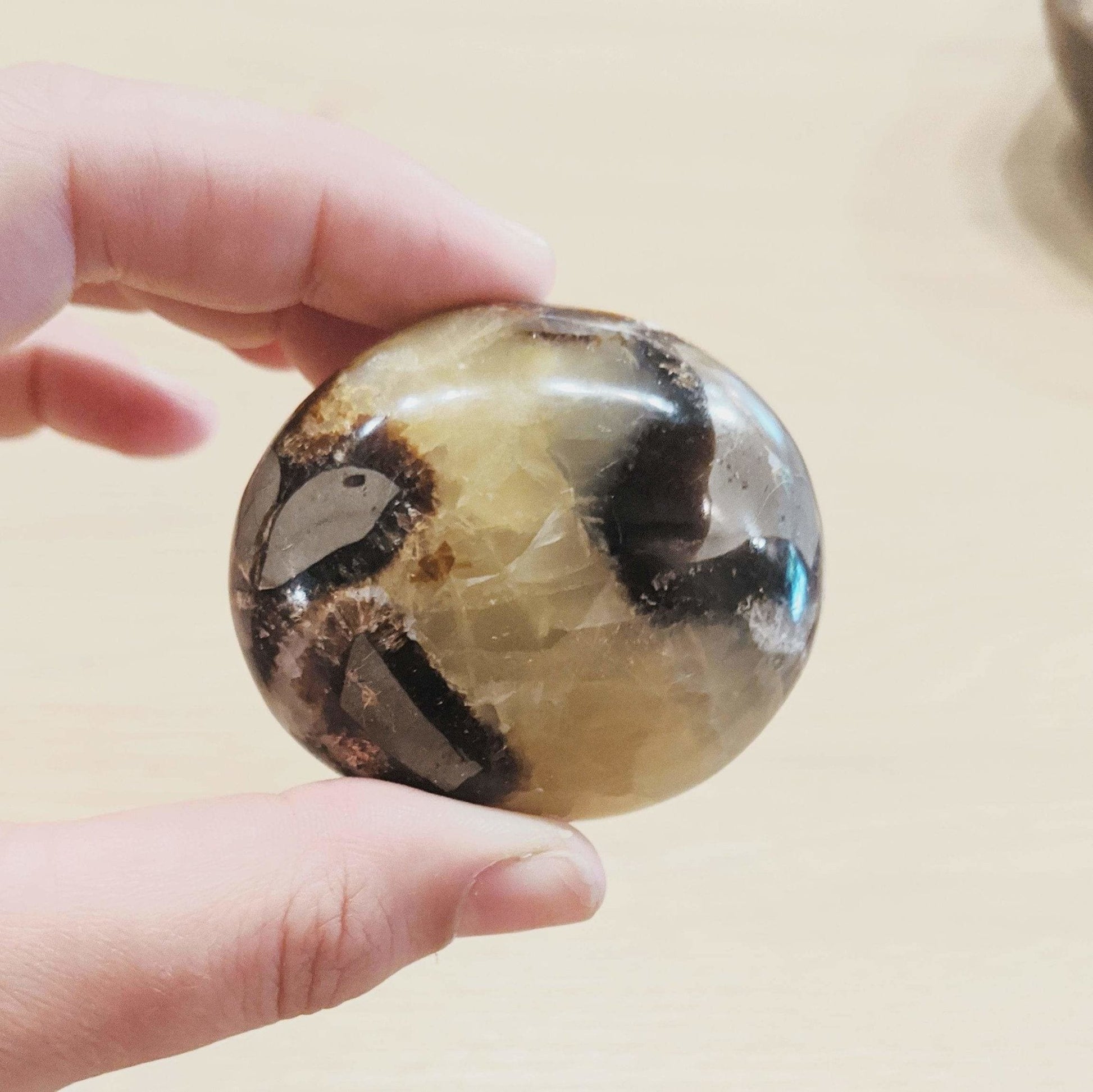 Septarian Pebble - Enter the Earth -Freehand Market